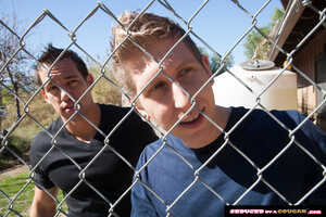 Original 2500 px/ 1667 px