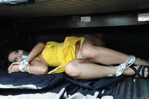 Original 2499 px/ 1663 px