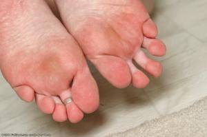 Original 1024 px/ 680 px