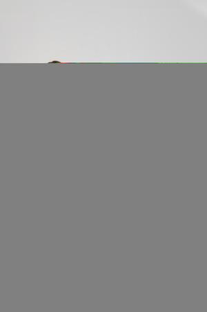 Original 3996 px/ 6006 px