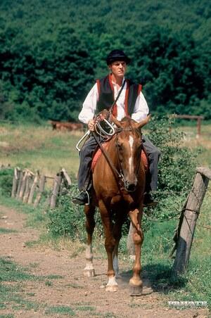 Original 2123 px/ 3200 px