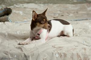 Original 1600 px/ 1067 px