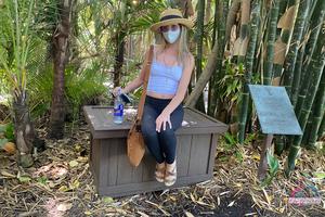 Original 3000 px/ 2000 px