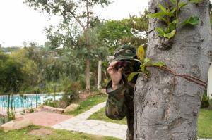 Original 2499 px/ 1663 px