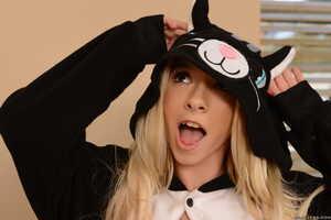 Original 2492 px/ 1663 px