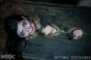 Original 1200 px/ 795 px