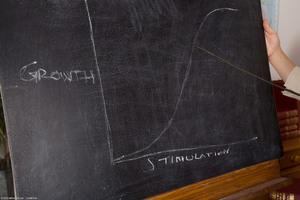 Original 2400 px/ 1600 px