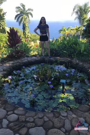 Original 2000 px/ 3000 px