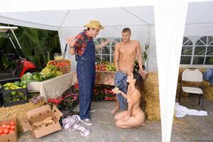 Original 2492 px/ 1663 px