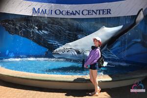 Original 3000 px/ 2000 px