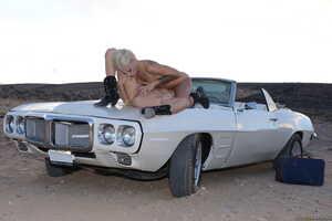 Original 2491 px/ 1663 px