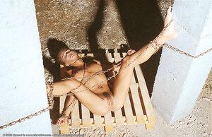 Original 828 px/ 536 px