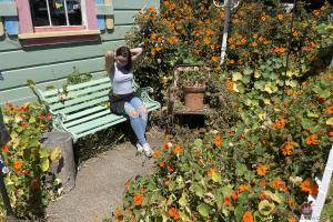 Original 3000 px/ 2000 px