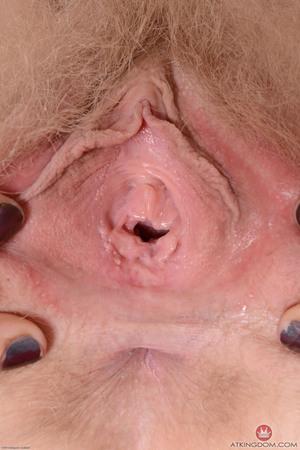 Original 2000 px/ 3000 px