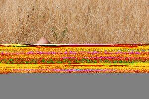 Original 2808 px/ 1872 px