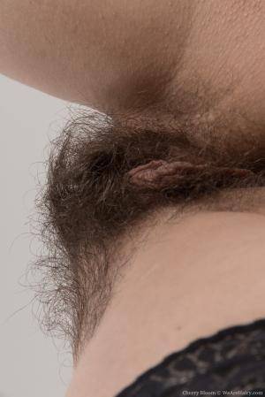 Original 854 px/ 1280 px