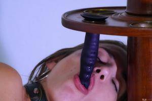 Original 6000 px/ 4000 px