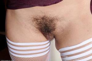 Original 1536 px/ 1022 px