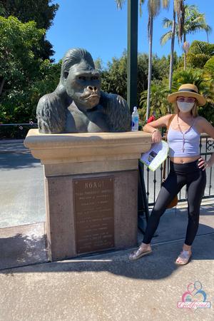 Original 2000 px/ 3000 px