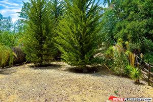 Original 1902 px/ 1269 px