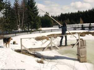 Original 1600 px/ 1200 px