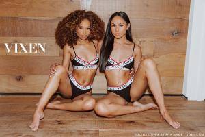 Original 3000 px/ 2000 px