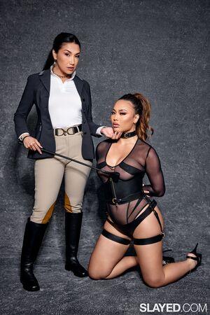 Original 1800 px/ 2699 px