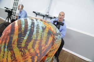 Original 2495 px/ 1663 px