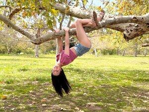 Original 3467 px/ 2600 px