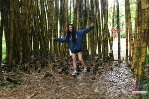 Original 3000 px/ 2000 px