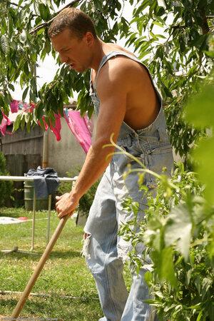 Original 1024 px/ 1536 px