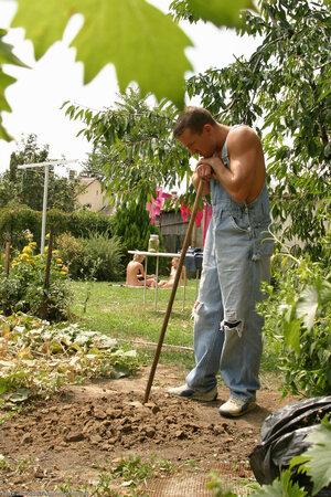 Original 1024 px/ 1536 px