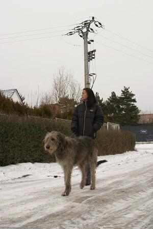 Original 1024 px/ 1536 px