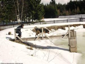 Original 1600 px/ 1200 px