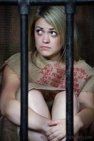 Original 795 px/ 1200 px