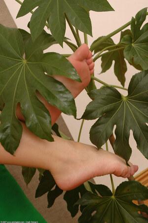 Original 1021 px/ 1536 px