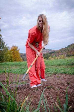 Original 795 px/ 1200 px