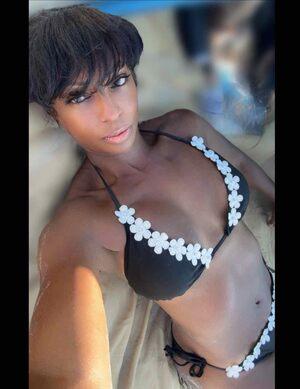 Original 1290 px/ 1674 px