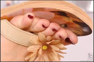 Original 1616 px/ 1074 px