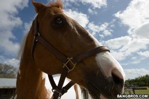 Original 800 px/ 533 px