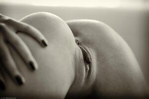 Original 2683 px/ 1789 px