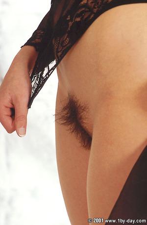 Original 520 px/ 795 px