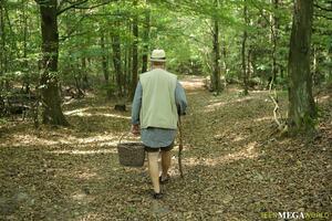 Original 3500 px/ 2333 px