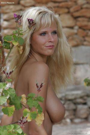 Original 683 px/ 1024 px