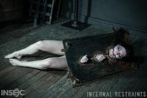 Original 1200 px/ 798 px