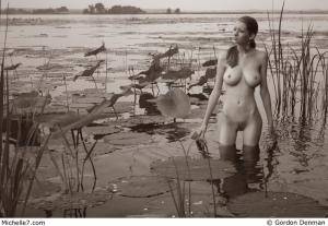 Original 800 px/ 553 px