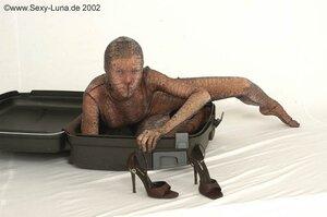 Original 800 px/ 531 px