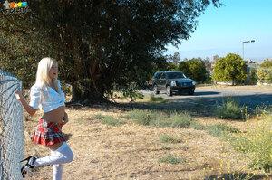 Original 1728 px/ 1149 px