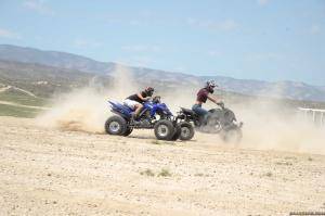 Original 2499 px/ 1663 px