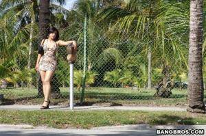 Original 1200 px/ 799 px